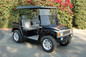 affordable golf cart rental, golf cart rent round rock